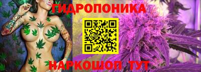 метадон Кинель