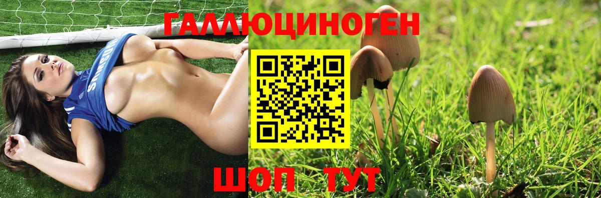 Галлюциногенные грибы Cubensis Кудрово