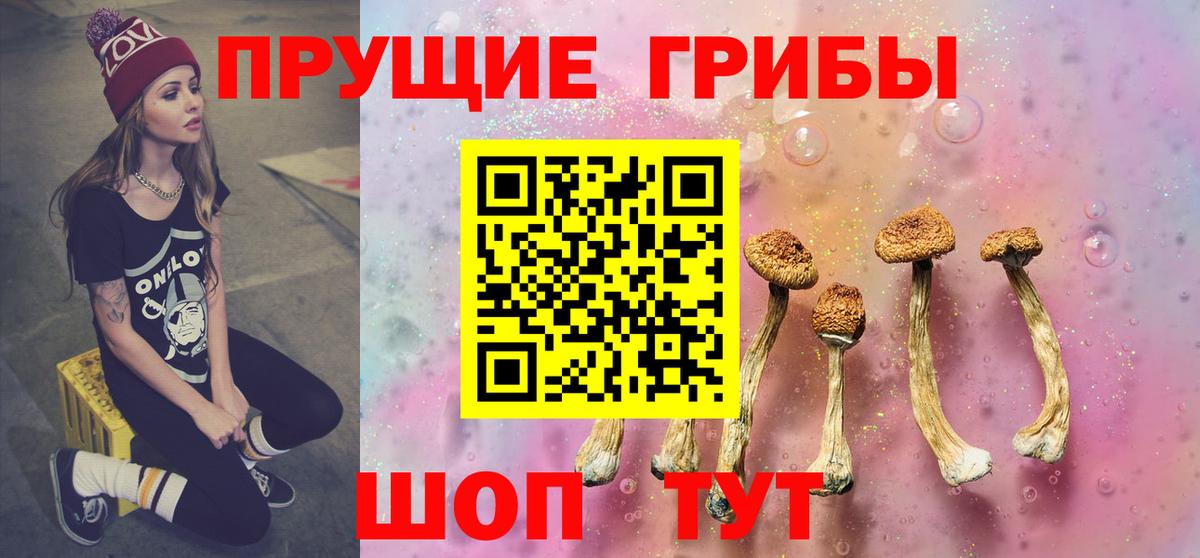 Кудрово  Галлюциногенные грибы ЛСД  Галлюциногенные грибы ЛСД  Вход с VPN 