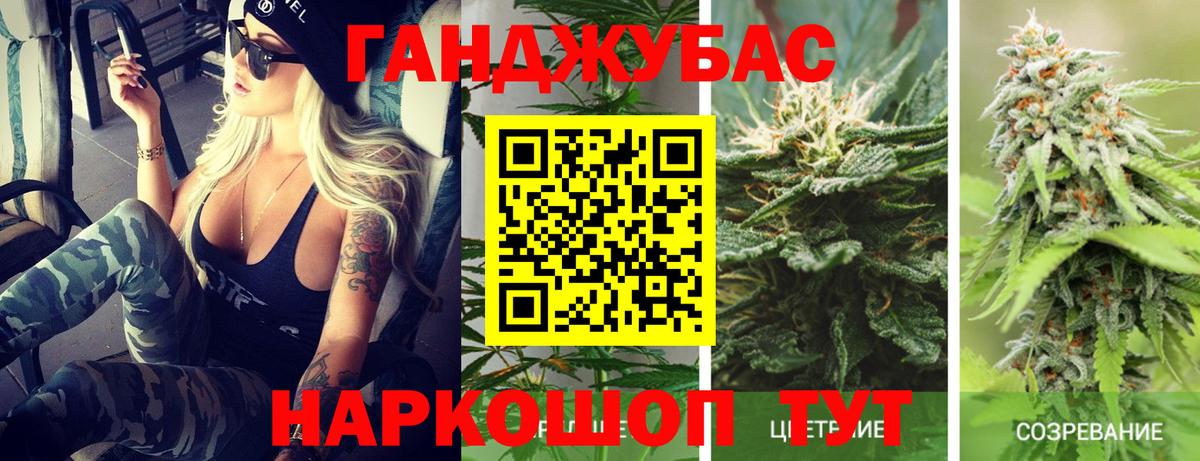 Кудрово  Каннабис план  Конопля Bruce Banner  Вход с VPN  МАРИХУАНА индика  Конопля LSD WEED 